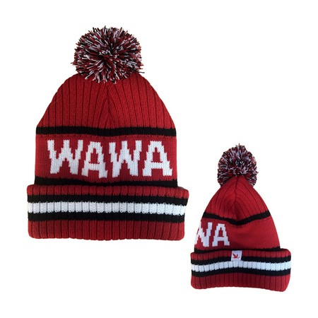 Striped Pom Beanie image